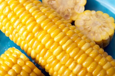 Derin mavi plaka üzerinde haşlanmış mısır