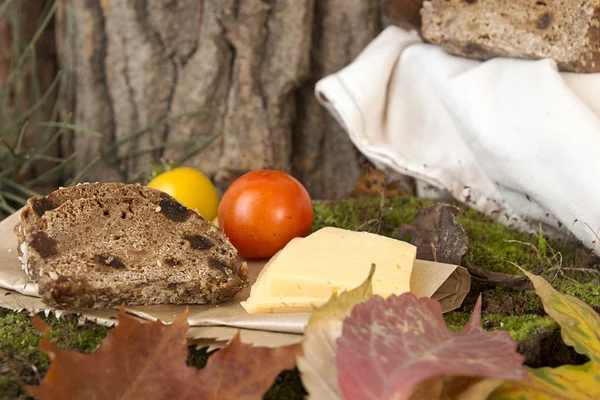 Picnic en el bosque. Pan de centeno, rebanadas de queso y tomates — Foto de Stock