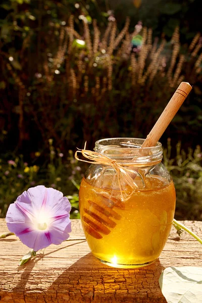 Madu manis lezat dalam botol kaca . — Stok Foto