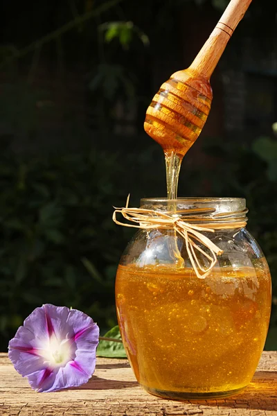 Miele che scende dal tuffo in vaso di vetro . — Foto Stock