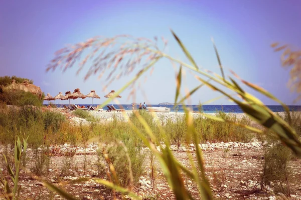 Umbrellas and chaise lounges on beach. Summer seascape. — Stock Photo, Image