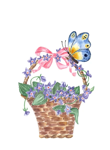 Watercolor wicker basket with violets isolated on white backgrou — Stock Photo, Image