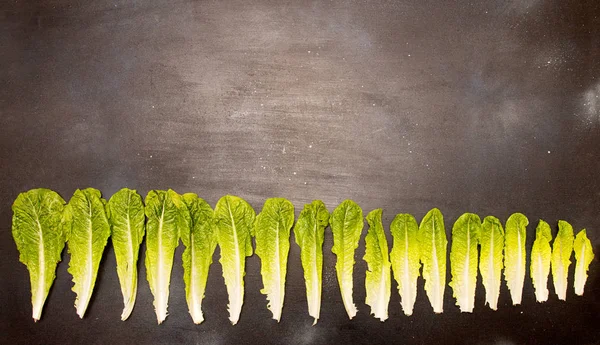 RAW taze romain marul salatası büyük küçük yaprakları — Stok fotoğraf