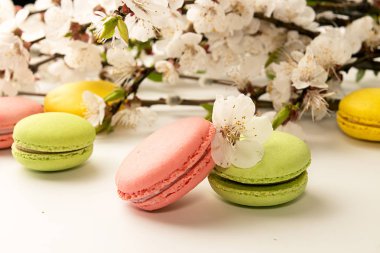 Macarons kayısı çiçek açması branc karşı beyaz arka plan üzerinde