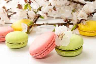 Macarons kayısı çiçek açması branc karşı beyaz arka plan üzerinde