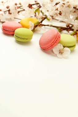 Macarons kayısı çiçek açması branc karşı beyaz arka plan üzerinde