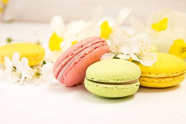 Macarons nergis ve kiraz blo beyaz arka planı üzerinde