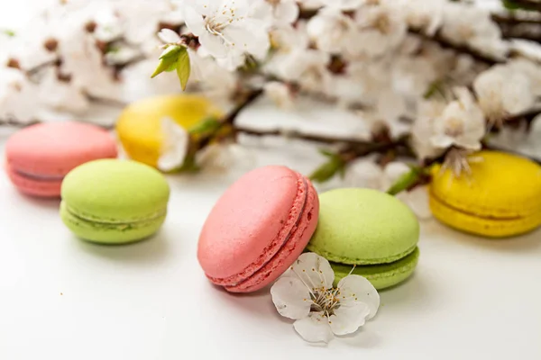 Macarons em fundo branco contra de branc de damasco florescente — Fotografia de Stock