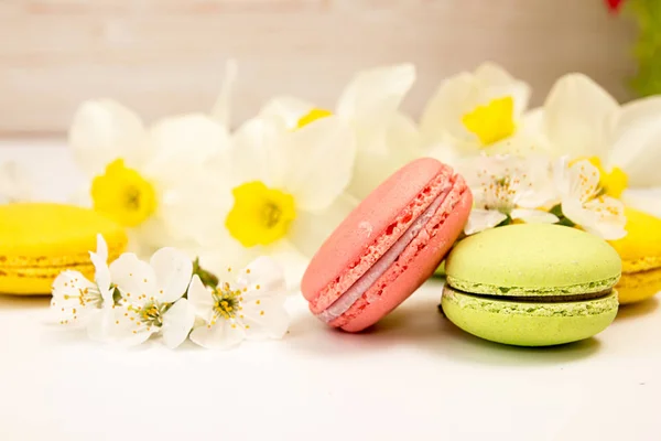 Macarons em fundo branco contra de narciso e blo cereja — Fotografia de Stock