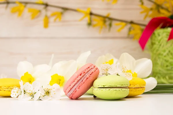 Macarons em fundo branco contra de narciso e blo cereja — Fotografia de Stock