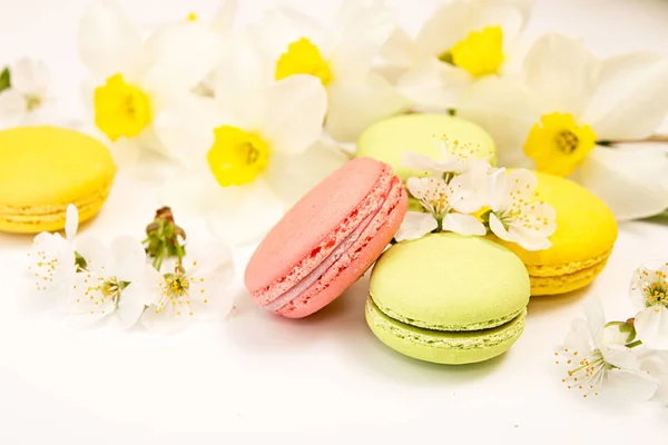 Macarons em fundo branco contra de narciso e blo cereja — Fotografia de Stock