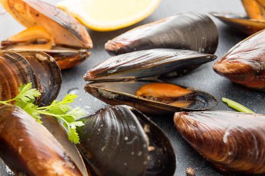 Kızarmış midye kabuğu içinde. Yakın çekim.