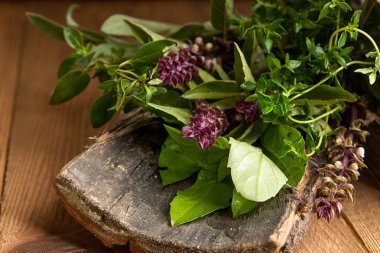 Kekik, adaçayı, fesleğen, kekik otlar üzerinde ahşap arka plan ağaç kabuğu