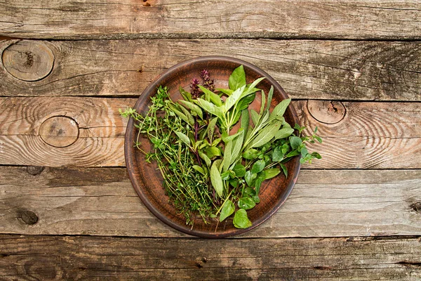 Thyme; oregano; sage, basil herbs on broun crockery over on old