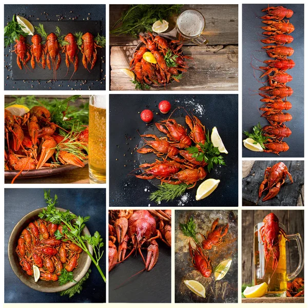 Conjunto de alimentos collage de varias imágenes de cangrejos de río. Jabalí — Foto de Stock
