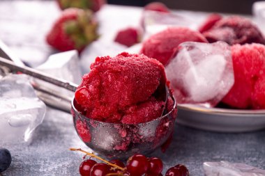 Ev yapımı çilek topu, kırmızı frenk üzümü, ahududu, yabanmersinli dondurma, şerbet. Ahşap arka planda böğürtlen. Yaz tatlısı, tatlı atıştırmalık. 