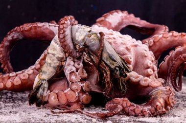 Büyük ahtapot ve kıvırcık dokunaçlı kral karides.