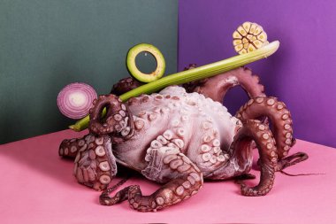 Renkli arka planda meyve ve sebzelerle modern moda. Büyük ahtapot, kırmızı soğan, avokado dilimleri, renkli arka planda kereviz yaprağına sarımsak seti ile dengelenmiş bileşim.