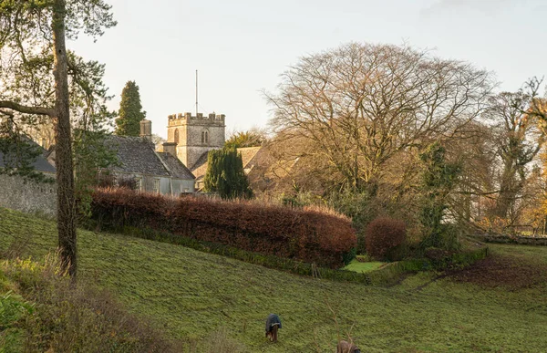 Church Andrew Miserden Gloucestershire Engeland Verenigd Koninkrijk — Stockfoto