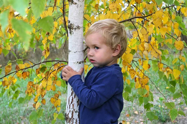 Sad white kid looks suspiciously because of birches. Scared whit — Stock Photo, Image