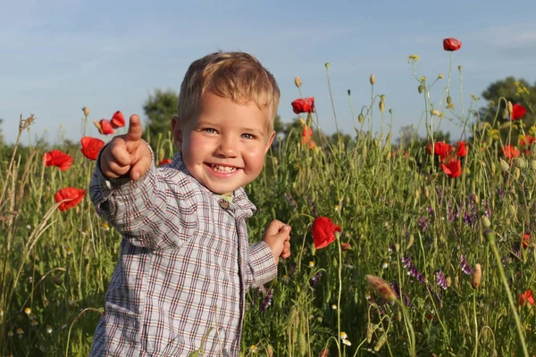 Elinde kırmızı bir haşhaş ile bir yürümeye başlayan çocuk-ekose gömlekli bir küçük sarışın çocuk. Duygusal mutlu gülen çocuk elinde bir çiçek çalışır. Kırmızı bir haşhaş elinde tutan çiftçi çocuk