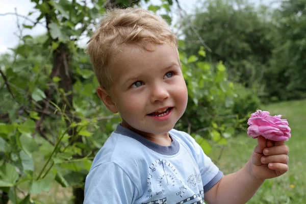A blond boy with blond hair holds a flower in his hand. The kid gives a pink rose. — Stock Photo, Image