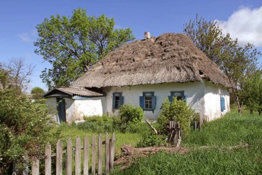 Thatched çatı altında eski kil ev arasında parlak genç bahar hayat yok edilir. Genç sürgünler eski Vakıflar yerine gelebilir.
