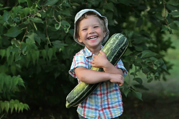 Un piccolo ragazzo emotivo che ride è impegnato a raccogliere. Il ragazzo con la camicia a quadri è contento di aiutare suo padre a lavorare in fattoria. . — Foto Stock