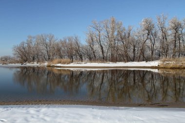 Kardaki bahar kıyı şeridi çıplak ağaçlar soğuk berrak suya yansır. Erken ilkbaharda nehirde eriyen buz ve kar.