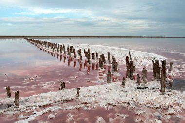 Tahta boruları olan tuzlu göl.