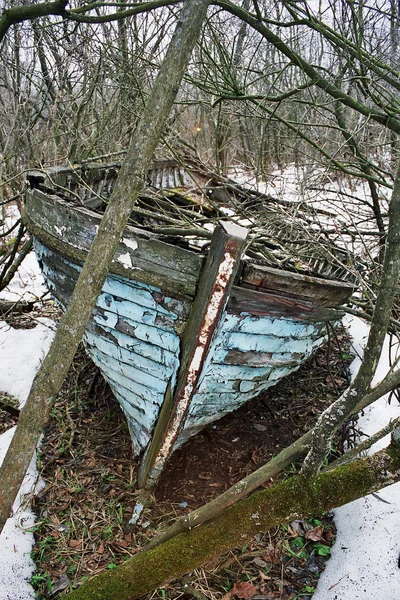 Old boat surrounded by trees and shrubs — Stock Photo, Image