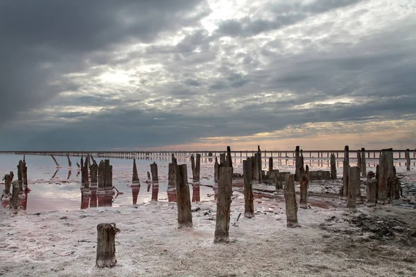 Tahta boruları olan tuzlu göl. — Stok fotoğraf