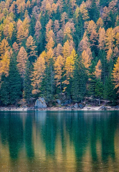 Nebliger Herbstmorgen Pragser See Provinz Bozen Trentino Alto Adige Italien — Stockfoto