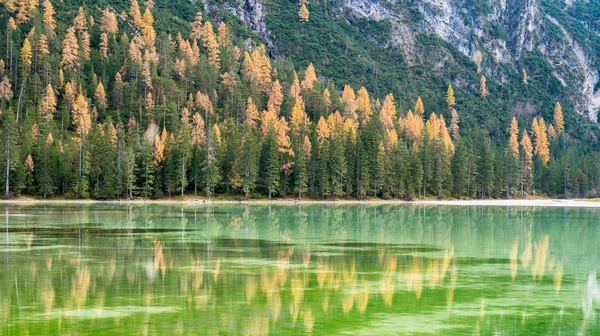 Hari Musim Gugur Berkabut Danau Landro Provinsi Bolzano Trentino Alto — Stok Foto