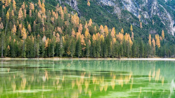 Foggy Autumn Day Lake Landro Province Bolzano Trentino Alto Adige — Stock Photo, Image