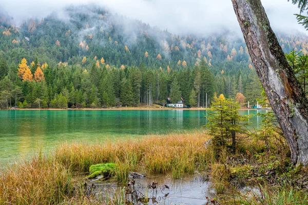 Bolzano Ili Dobbiaco Gölü Nde Sisli Bir Sonbahar Sabahı Trentino — Stok fotoğraf