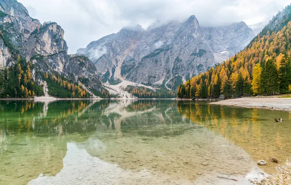 Foggy Φθινόπωρο Πρωί Στη Λίμνη Braies Επαρχία Bolzano Trentino Alto — Φωτογραφία Αρχείου