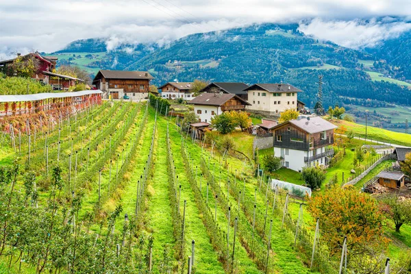 Vue Panoramique Automne Près Chiusa Province Bolzano Trentin Haut Adige — Photo