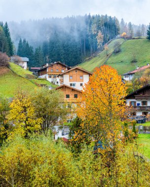 Meşhur Val di Funes 'daki Santa Magdalena köyünde sonbahar panoraması. Trentino Alto Adige, İtalya.