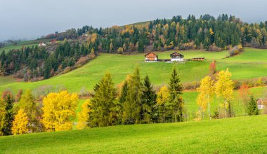 Meşhur Val di Funes 'daki Santa Magdalena köyünde sonbahar panoraması. Trentino Alto Adige, İtalya.