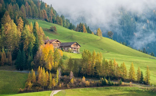 Panorama Automnal Village Santa Magdalena Dans Célèbre Val Funes Trentino — Photo