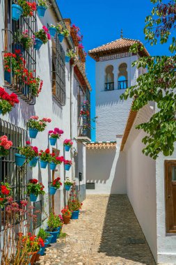 Granada 'nın Albaisin bölgesinde çiçekli bir manzara. Endülüs, İspanya.