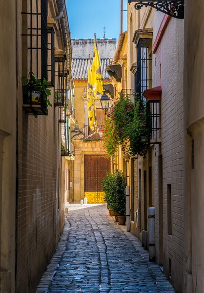 Vista Panorámica Una Soleada Tarde Verano Sevilla Andalucía España — Foto de Stock