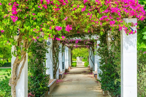 Parque Mara Luisa Park Mara Luisa Známý Veřejný Park Seville — Stock fotografie