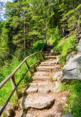 Madonna di Campiglio yakınlarındaki Nambino Gölü boyunca uzanan Idyllic manzara. Trento ili, Trentino Alto Adige, kuzey İtalya.