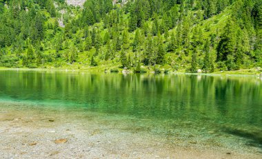 Madonna di Campiglio yakınlarındaki Nambino Gölü'nde pastoral manzara. Trento eyaleti, Trentino Alto Adige, Kuzey İtalya.