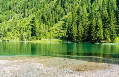 Madonna di Campiglio yakınlarındaki Nambino Gölü'nde pastoral manzara. Trento eyaleti, Trentino Alto Adige, Kuzey İtalya.