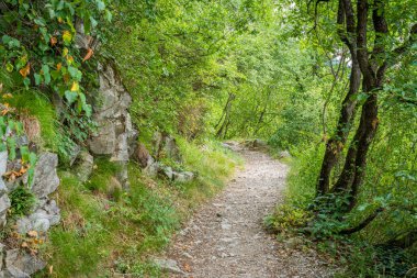 Chiusa yakınlarındaki Sabiona Manastırı'na pastoral yol, Bolzano Eyaleti, Trentino Alto Adige, İtalya.