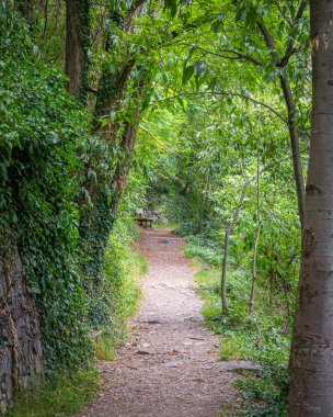 Chiusa yakınlarındaki Sabiona Manastırı'na pastoral yol, Bolzano Eyaleti, Trentino Alto Adige, İtalya.