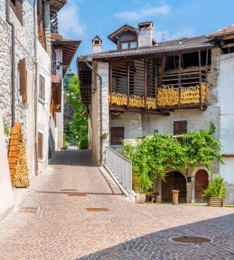 Trentino Alto Adige, İtalya 'nın Trento ilindeki Rango' nun pitoresk köyü..